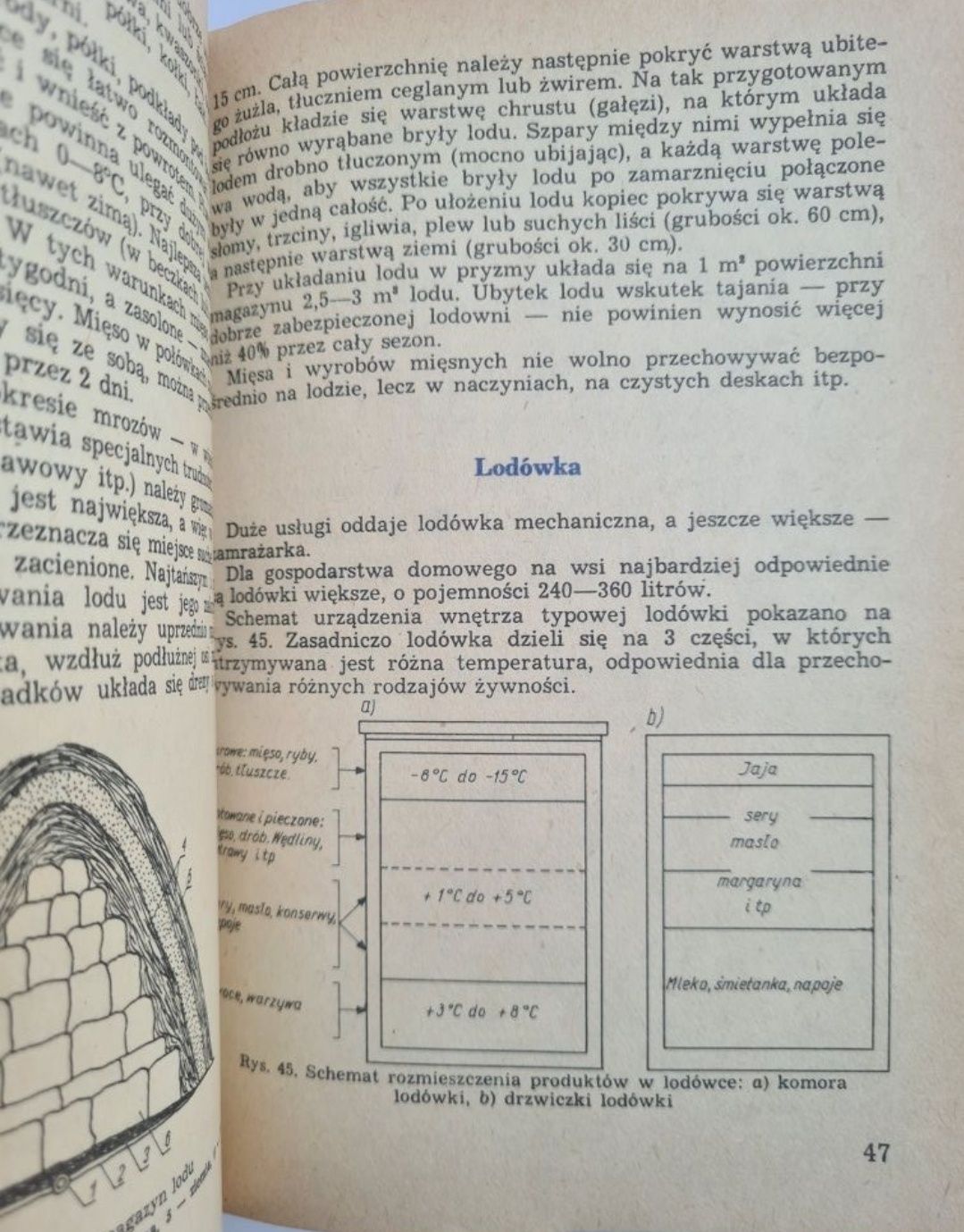 Domowe wyroby mięsne - Tadeusz Kłossowski. Książka