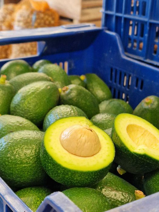 Awokado prosto z drzewa 1kg Hiszpania