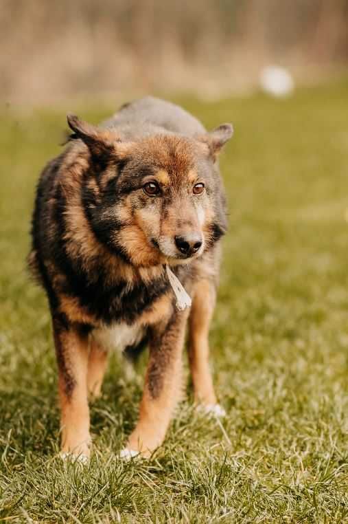 Każdy zasługuje na szansę. Mamy nadzieję że ktoś z Was da ją Rysiowi