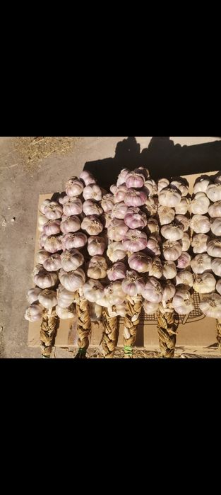 Paczka, zestaw, 3x20