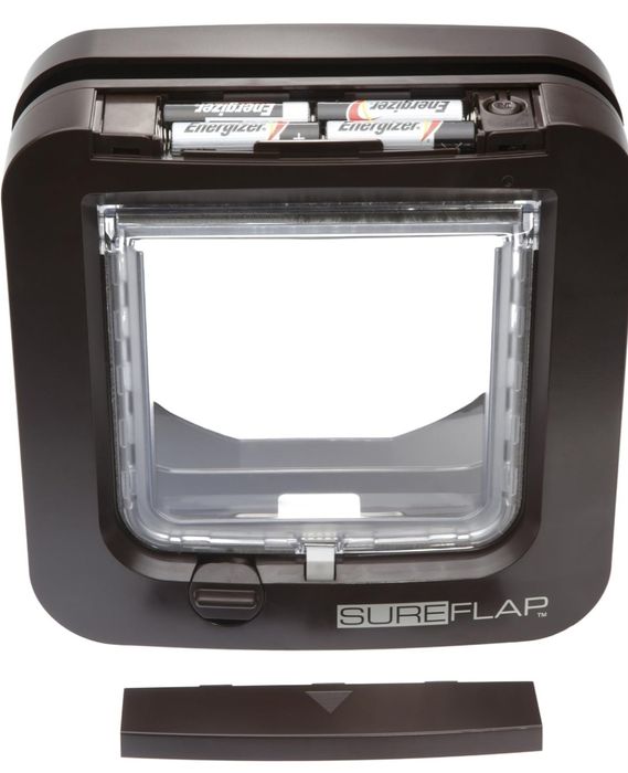 Дверцята для кішки