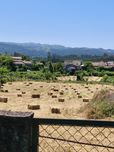 Fardos  de  Feno