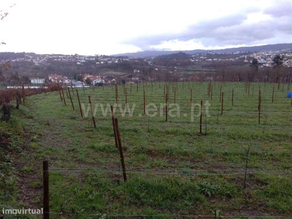 Terreno rústico em Golães