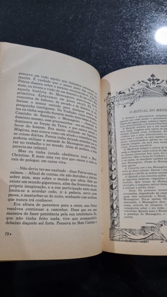 Livro O Diário de um Mago