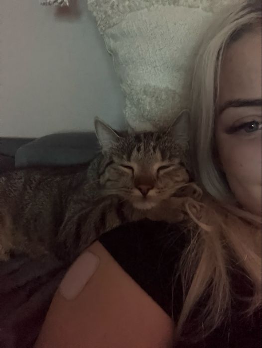 ZAGINĄŁ KOT!! KRAKERS, Kurza Góra/ Kościan