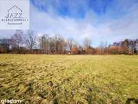 Działka usługowa w Sasinie 3500m2