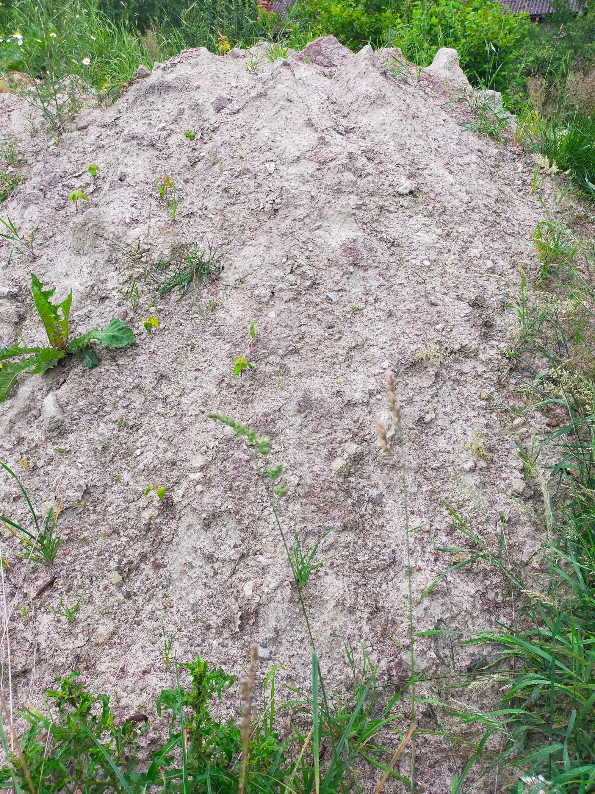 ZIEMIĘ oddam za darmo okolice Połczyna-Zdroju 500-600 m3