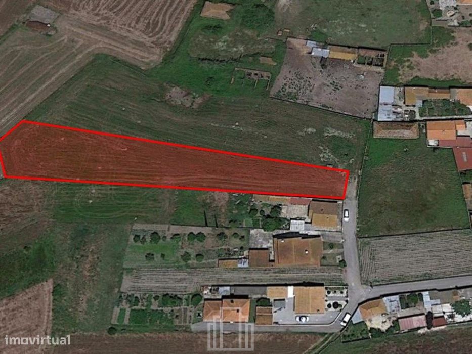 Terreno Rústico - Murtosa