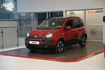 Fiat Panda Rzeszów! Pandina! Wyprzedaż 2024! Krety 60/42%!