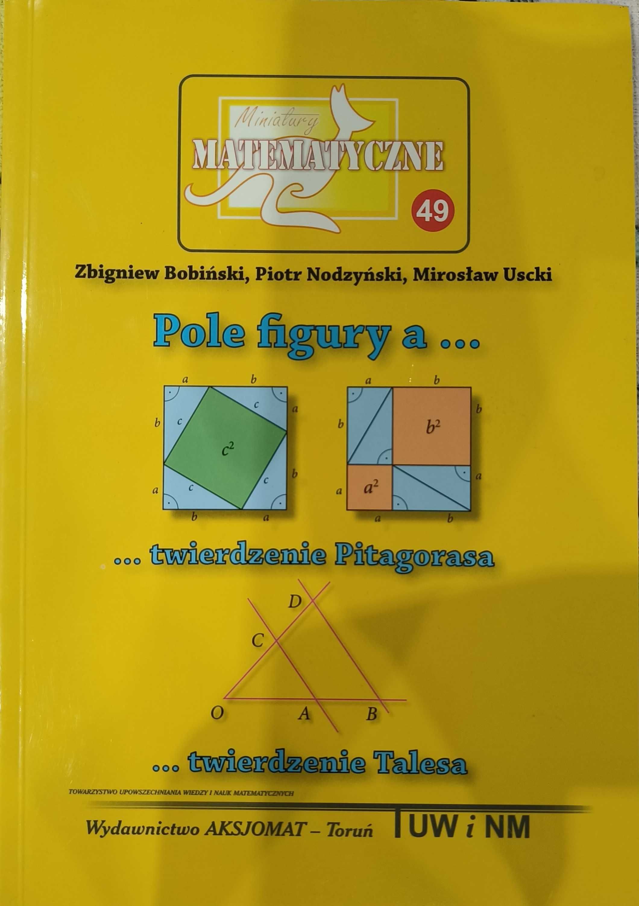 matematyczne zabawy książki