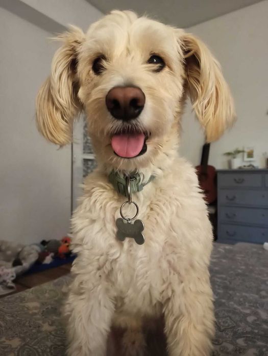 Quarto - Praça do Marquês, Porto