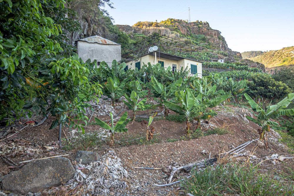Terreno agrícola com 12860 m2, com casa T2, na Ponta do Sol