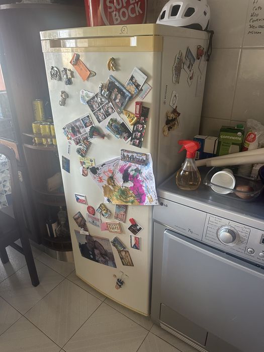 Arca congeladora vertical / carga de gás nova