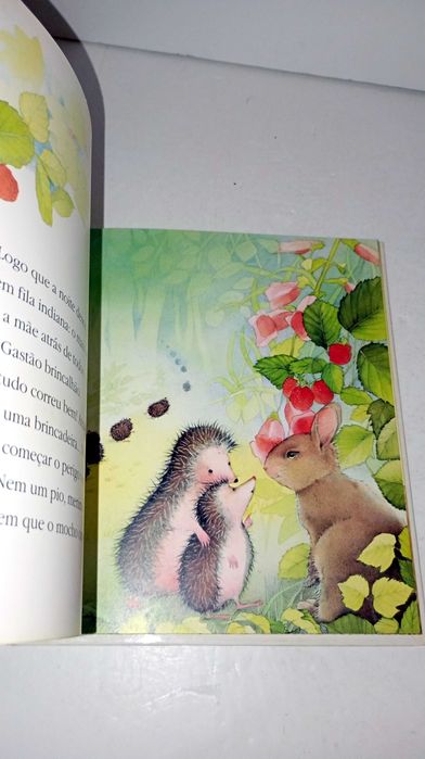 O Ouriço-Cacheiro Gastão Brincalhão - Animais Bebés