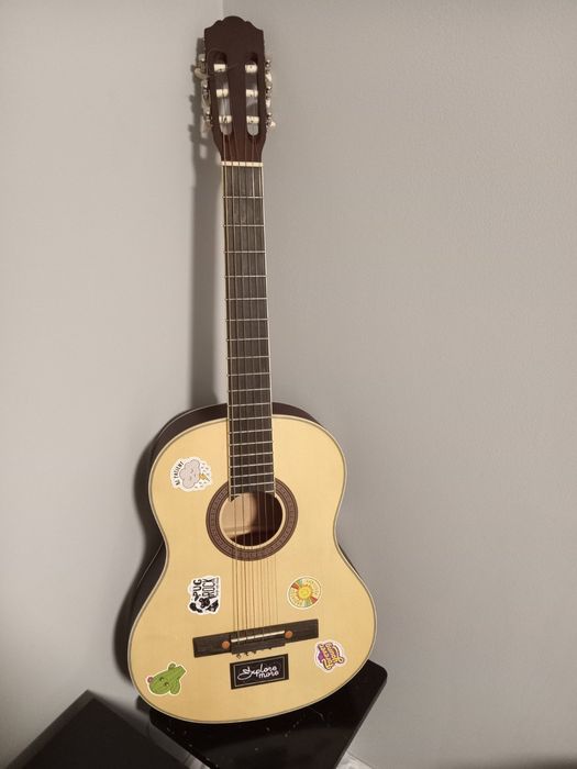 Гитара акустическая Parksons