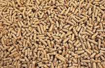 Pelet Pellet żwirek dla kota, zwierząt 18 kg / do kuwet