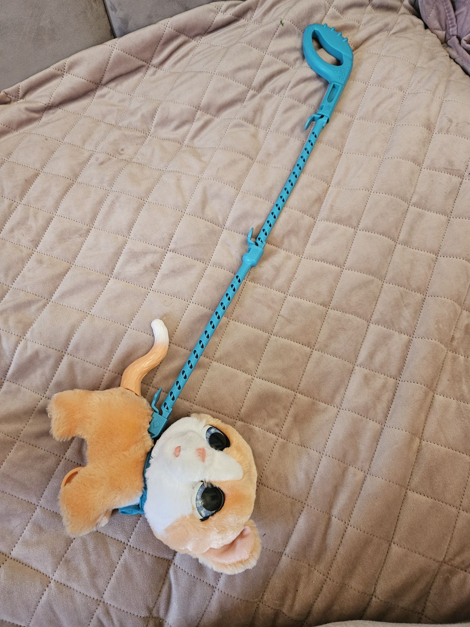 Kot interaktywny Hasbro Furreal Walkalots kotek na smyczy 

H