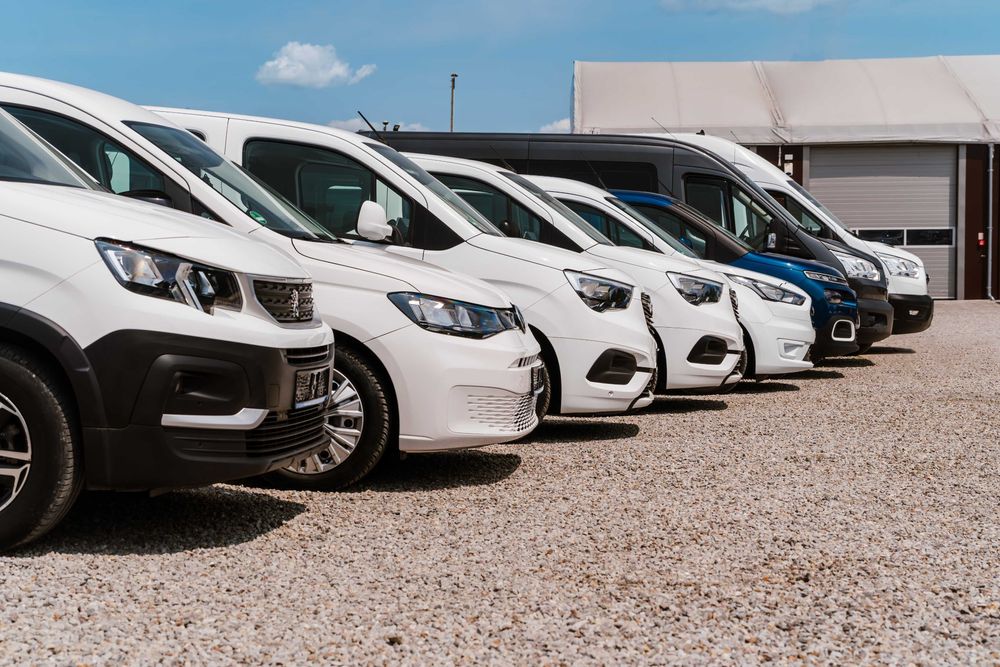 Przewóz osób z niepełnosprawnościami.PL, Ukraina, Niemcy. Flota 15 aut