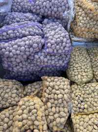 Ziemniaki wielk. sadzeniaka i jadalnego - dowóz gratis