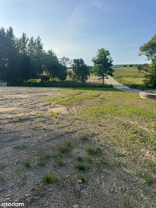 Działka Wilków k. Świętej Katarzyny