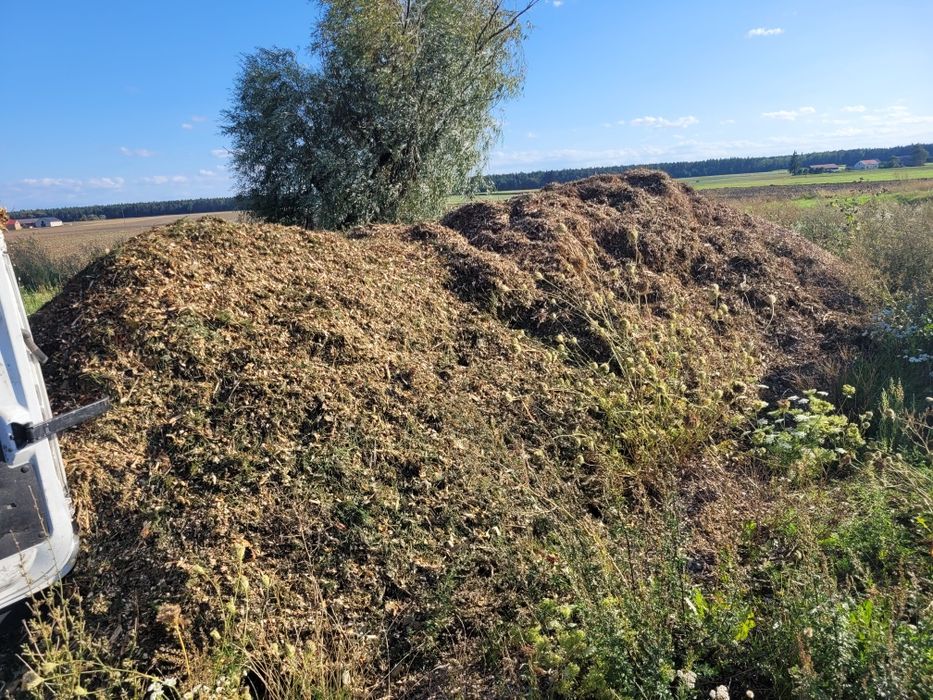 Zrębka Liściasto-Iglasta,zrębka liściasta,zrębka iglasta,zrębka agro