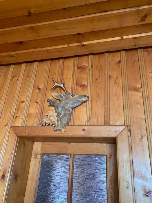 Продям роги оленя.