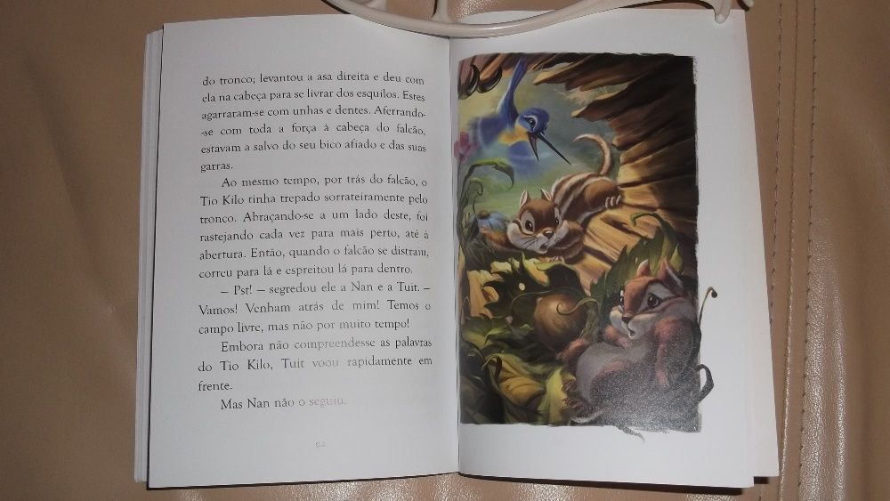 livro de menina muito bonito