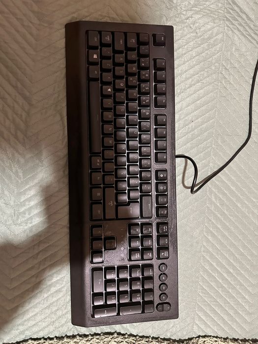 Teclado cynosa v2