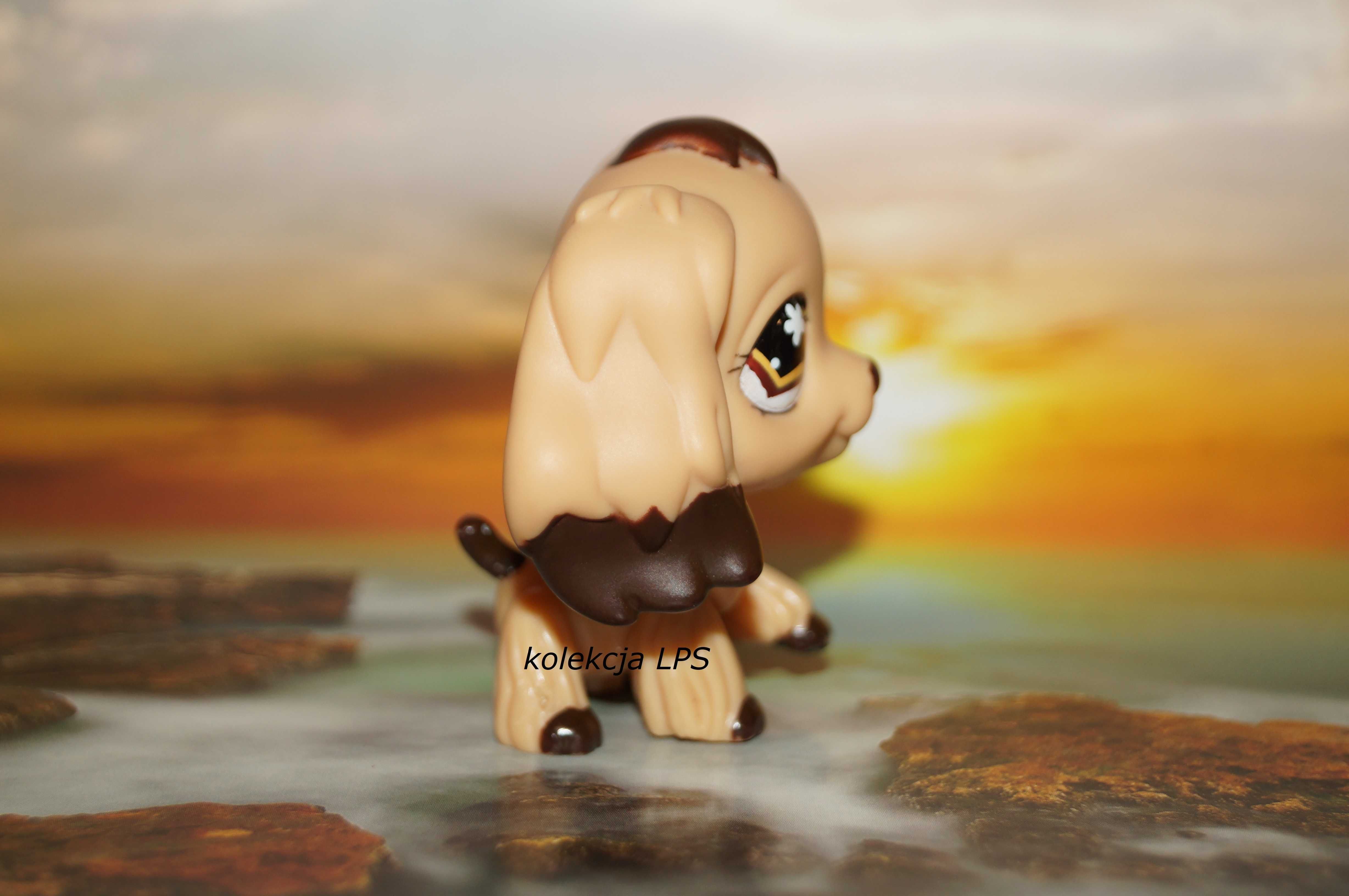 LPS spaniel #575 Littlest Pet Shop oryginalny POP oryginał UNIKAT