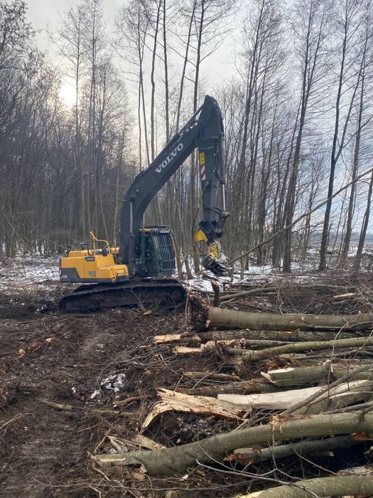 Розліснення та корчування ділянок