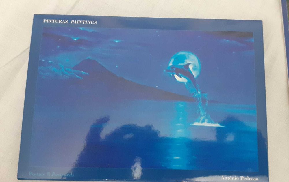 Liv2- Pack com 8 postais de golfinhos da autoria de António Pedroso