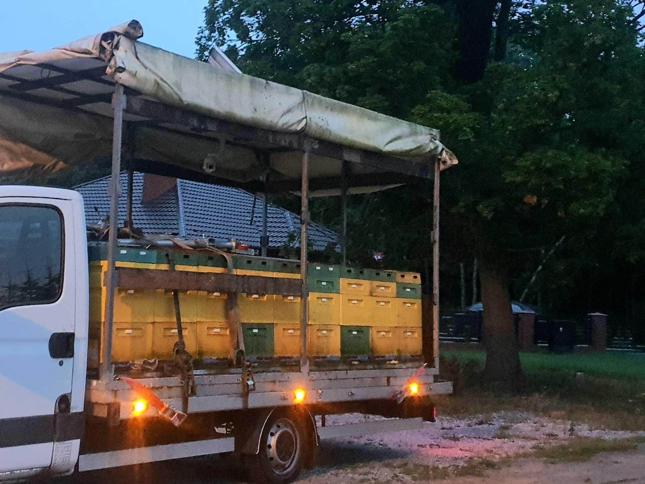 Pasieka wędrowna 36