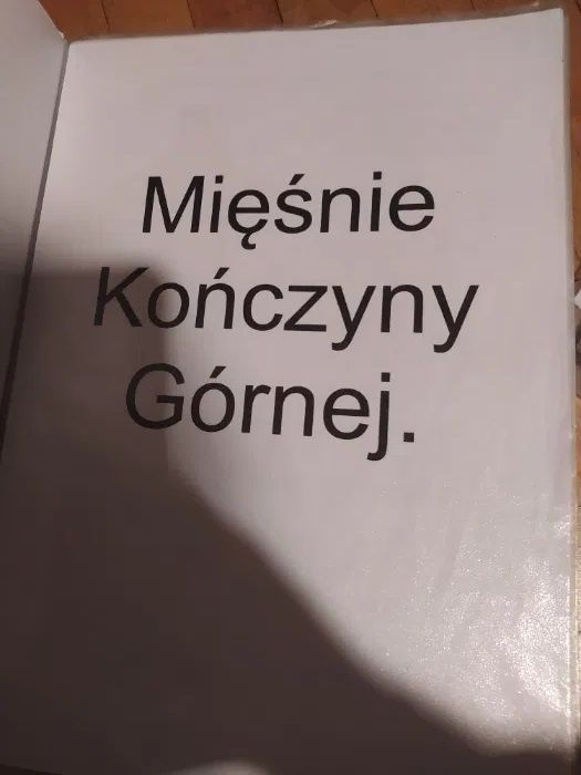 Notatki o Mięśniach (Książka do Notatki dla Technik Masażysta z Fizjot