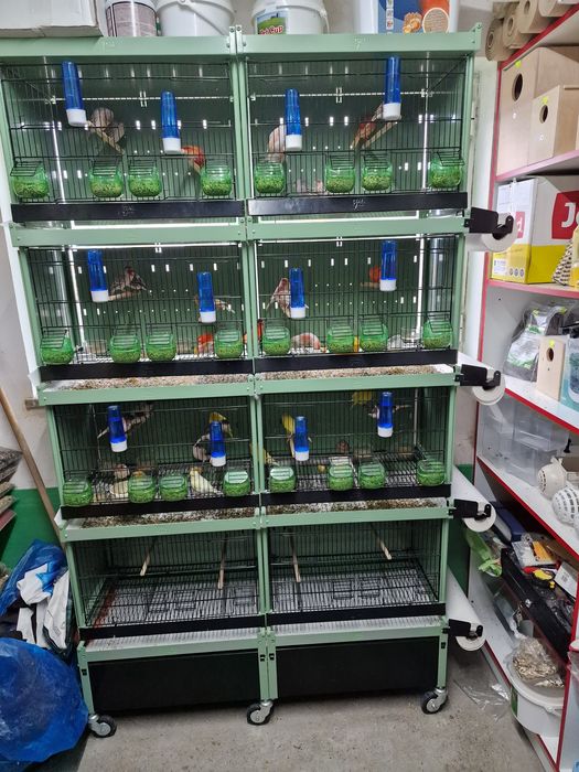 Viveiro italgabbie como novo