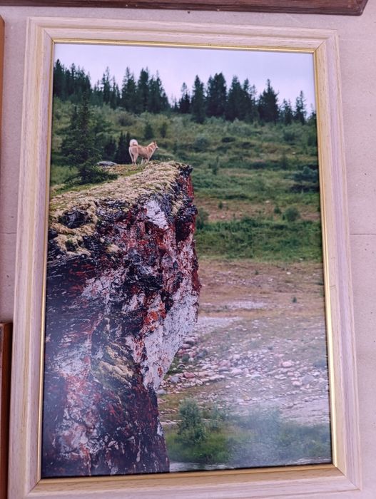 Картина на стену фотография  в рамках картинка в рамке природа пейзаж