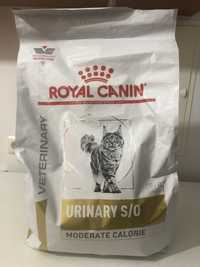 Ração para gato Royal Canin