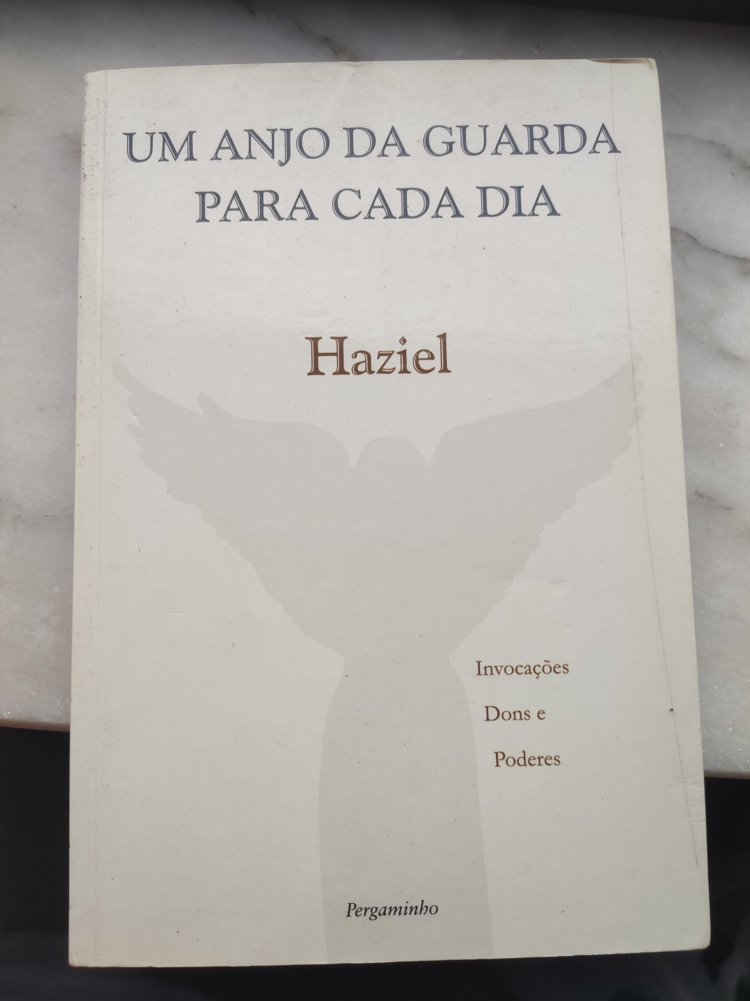 Livro - Um Anjo da Guarda para Cada Dia