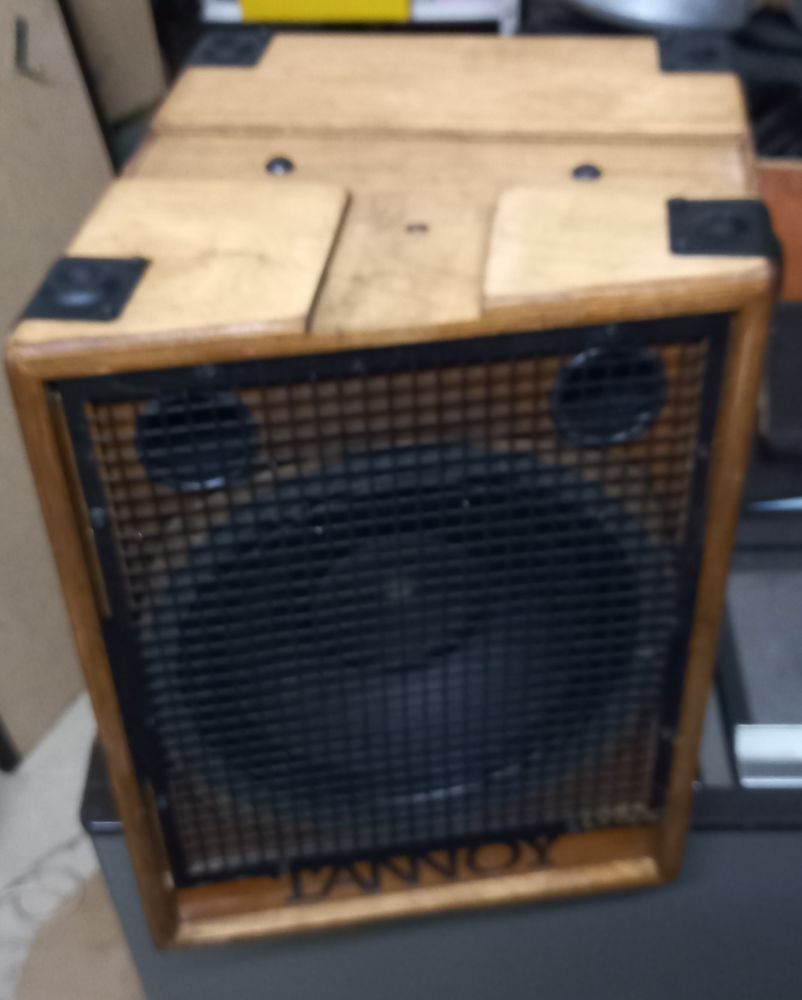 TANNOY Lynx 12" par