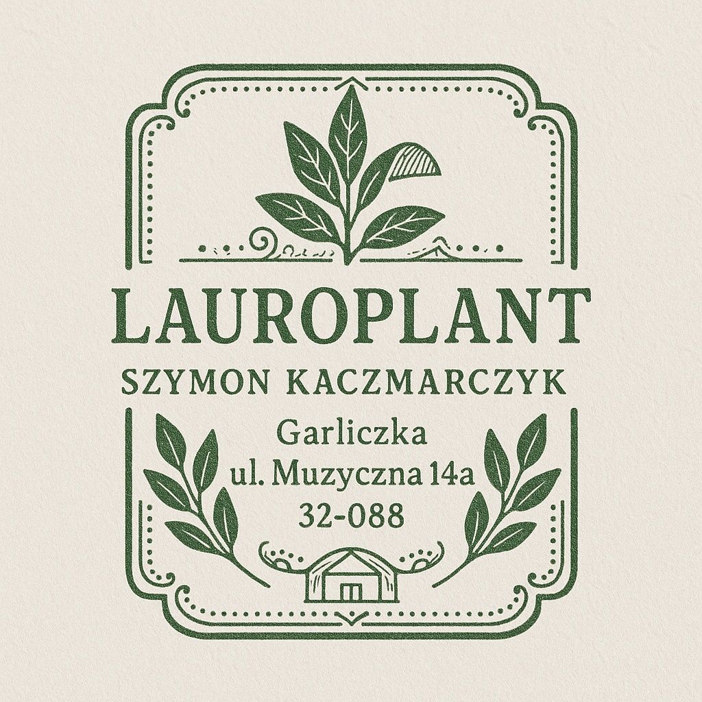 Laurowiśnia  NOVITA p9 30 cm  producent Wiorin/Rabat.