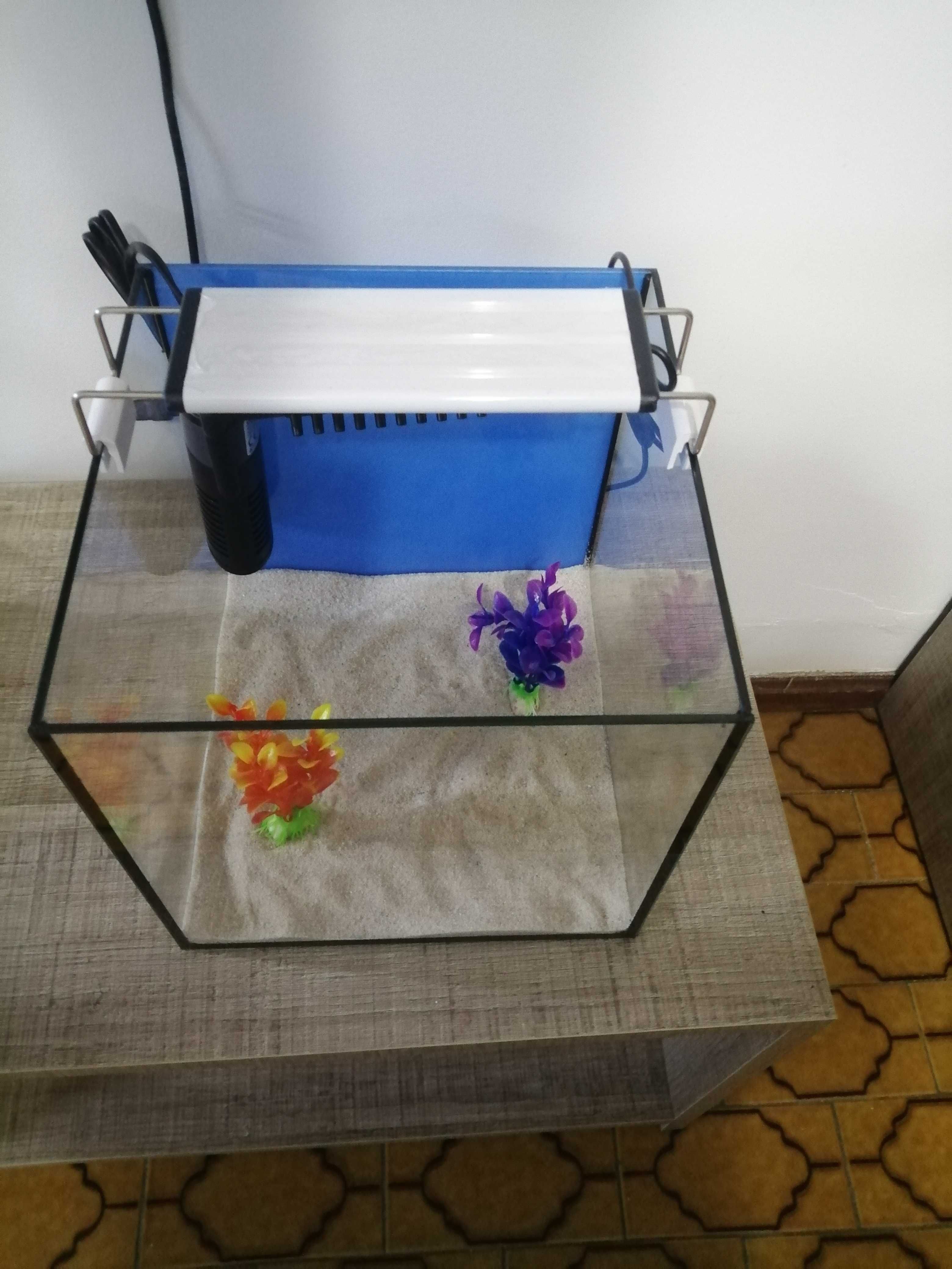 Kit Aquário cubo 25x25x25