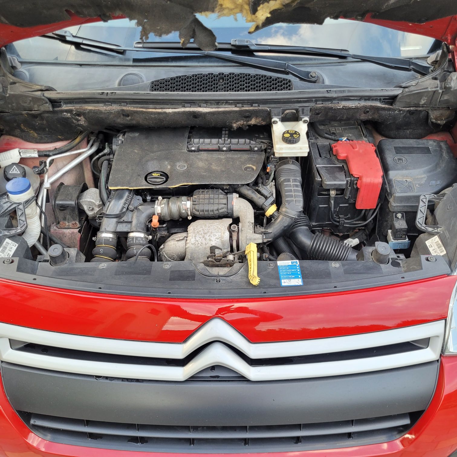 Citroën Berlingo оригінал пасажир