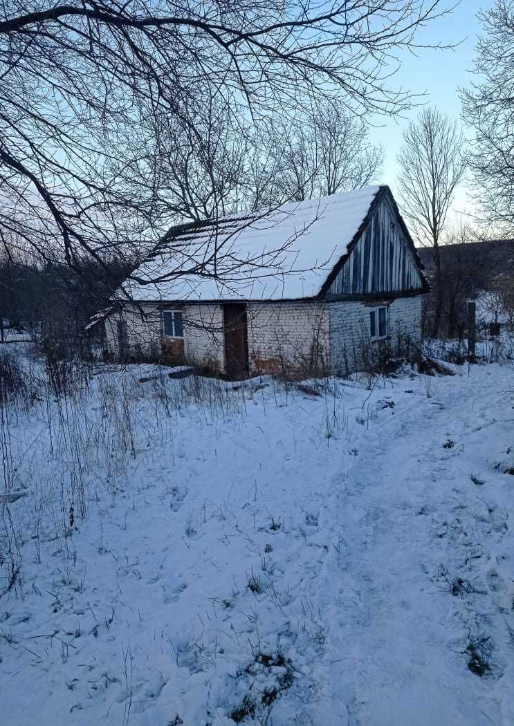 Майновий комплекс 603,9 м2, 1.8 га, Ярмолинці, вул. Петропавловська 31