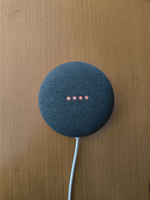 Google Nest Mini