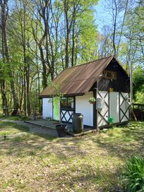 Romantyczna chatka, Klimatyczny domek w środku lasu, Przy małym stawie