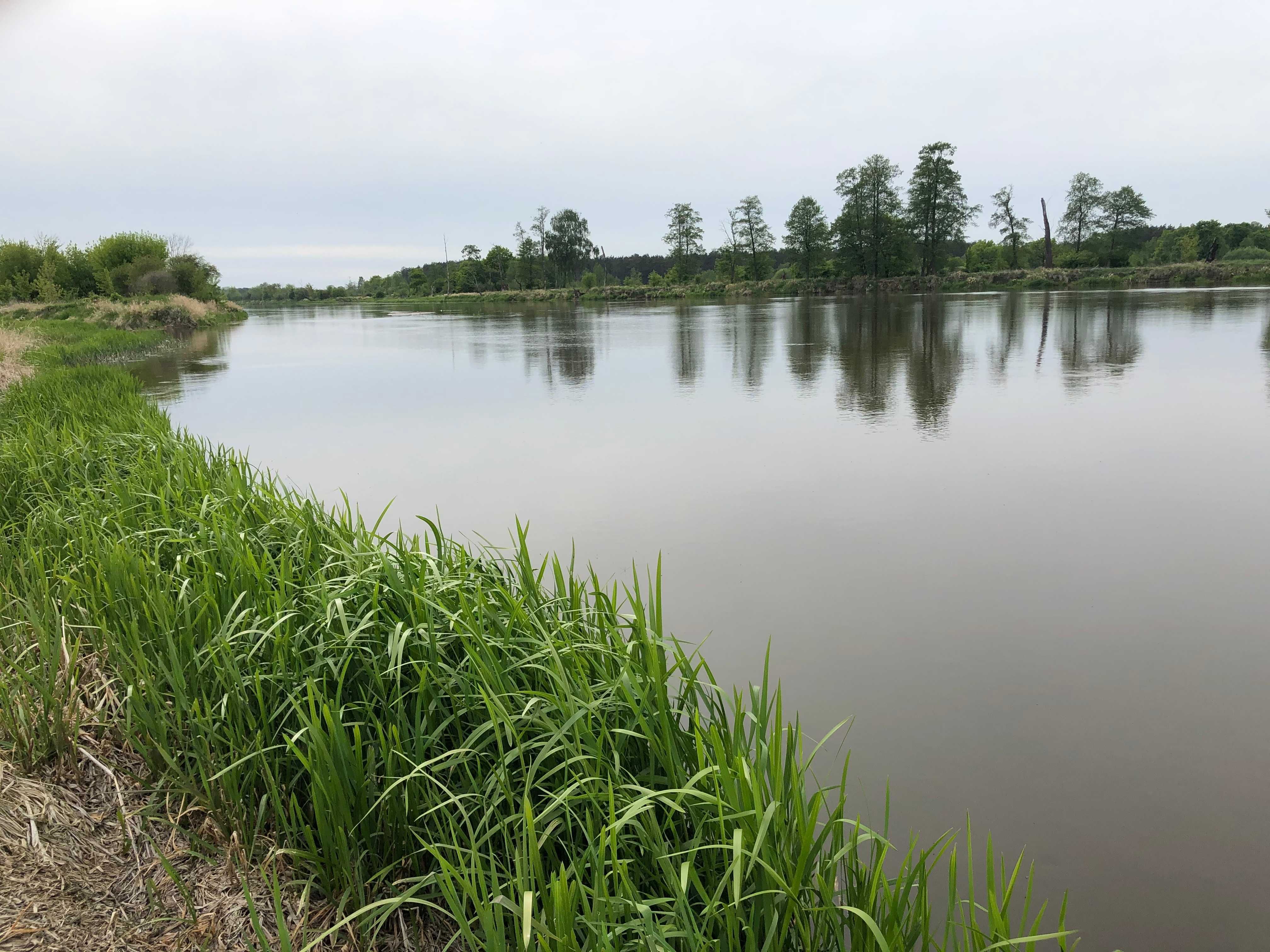 Działka z linią brzegową nad rzeką Narew - Kalinowo.