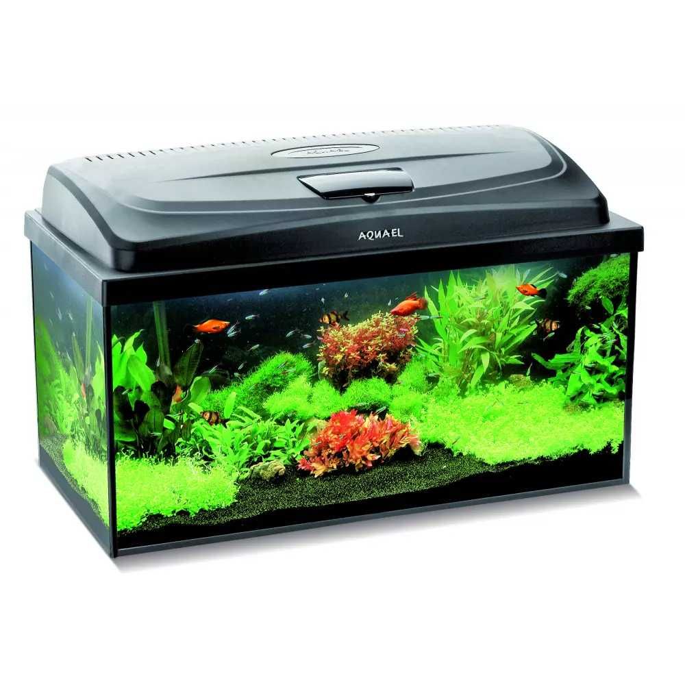 zestaw akwariowy aquael CLASSIC BOX 60/P D&N 54l