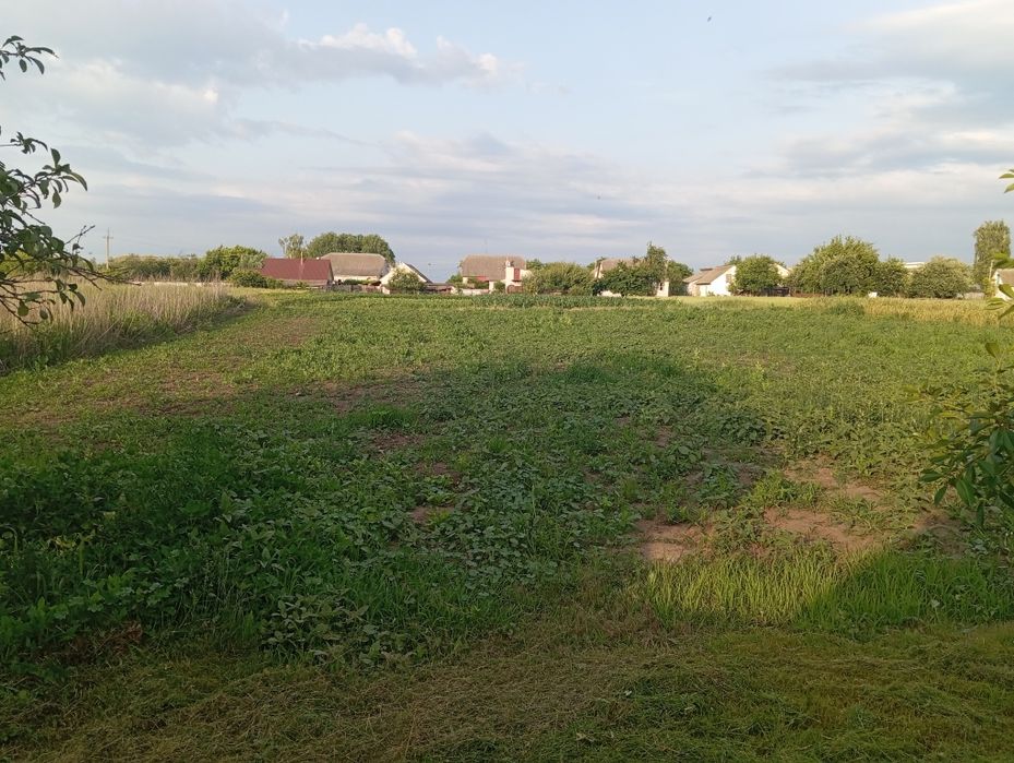 Продам дім в с.Журавка. Або обмін на авто з моєю доплатою чи мій авто