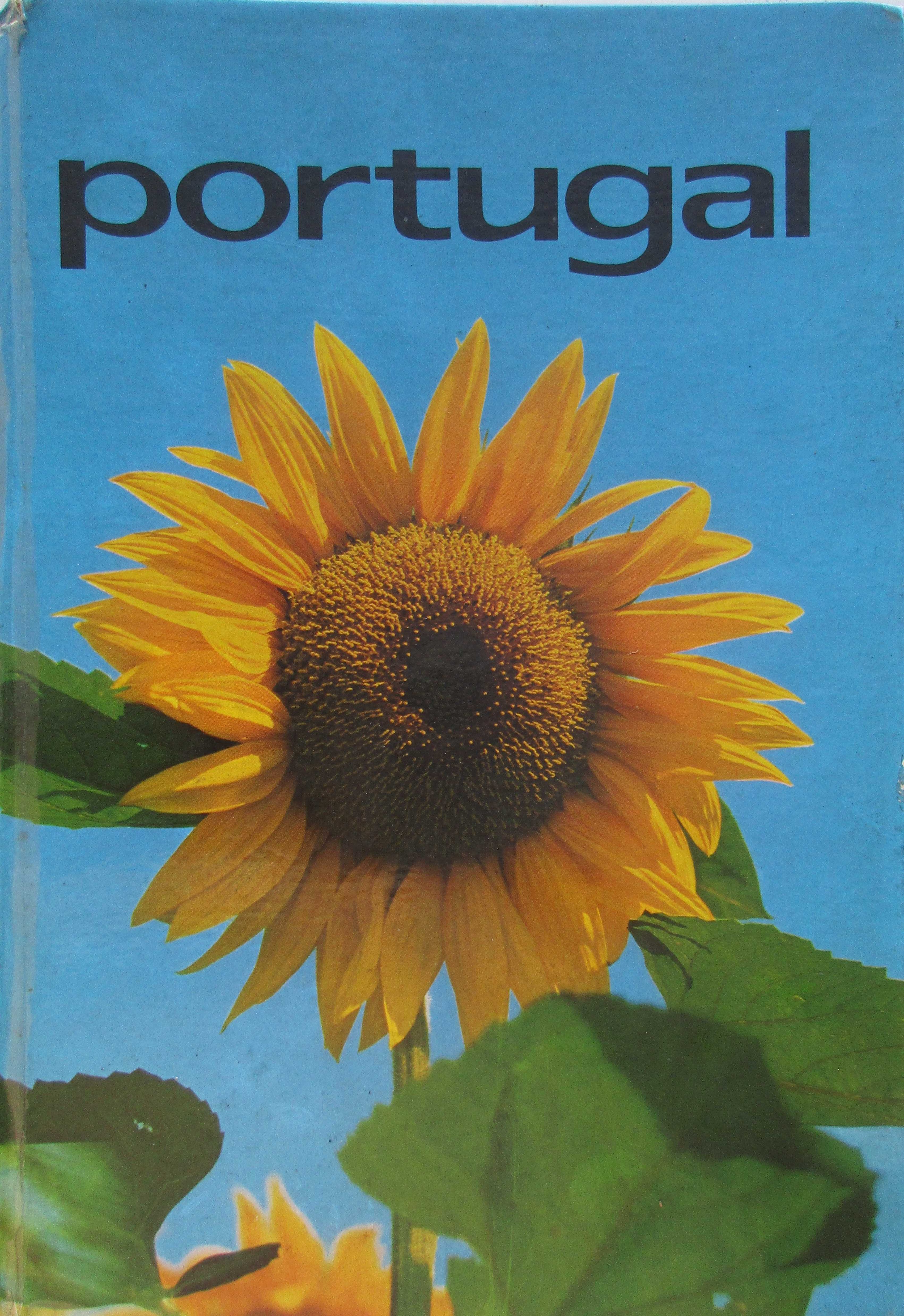 Asta de Almeida d'Eça - - - Portugal - - - - - Livro