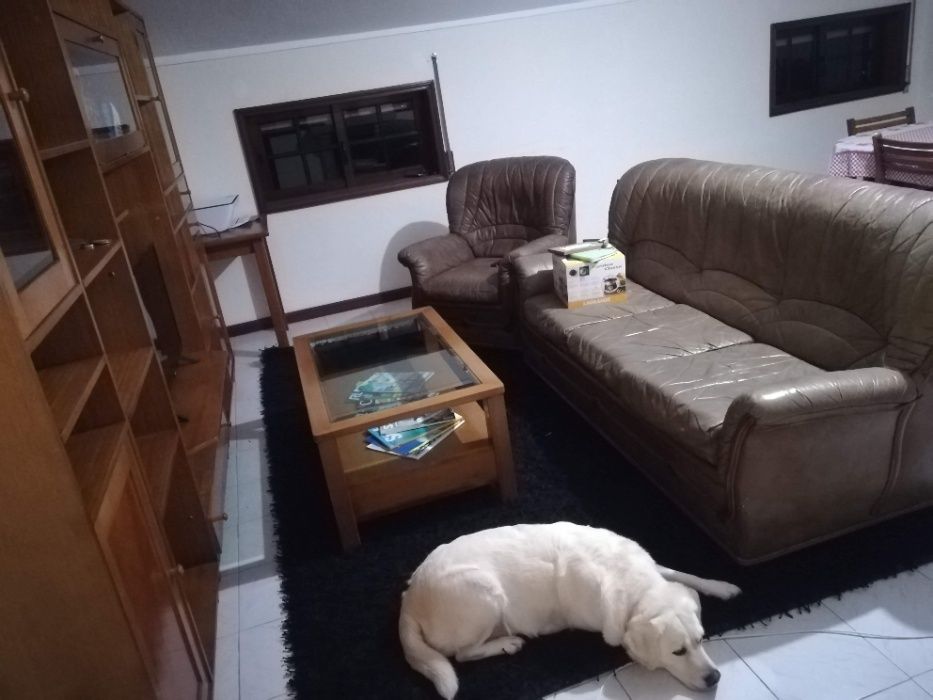 Sofá de pele ( conjunto de sofa cama grande + 3 pequenos )