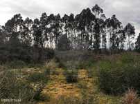 Terreno  para venda